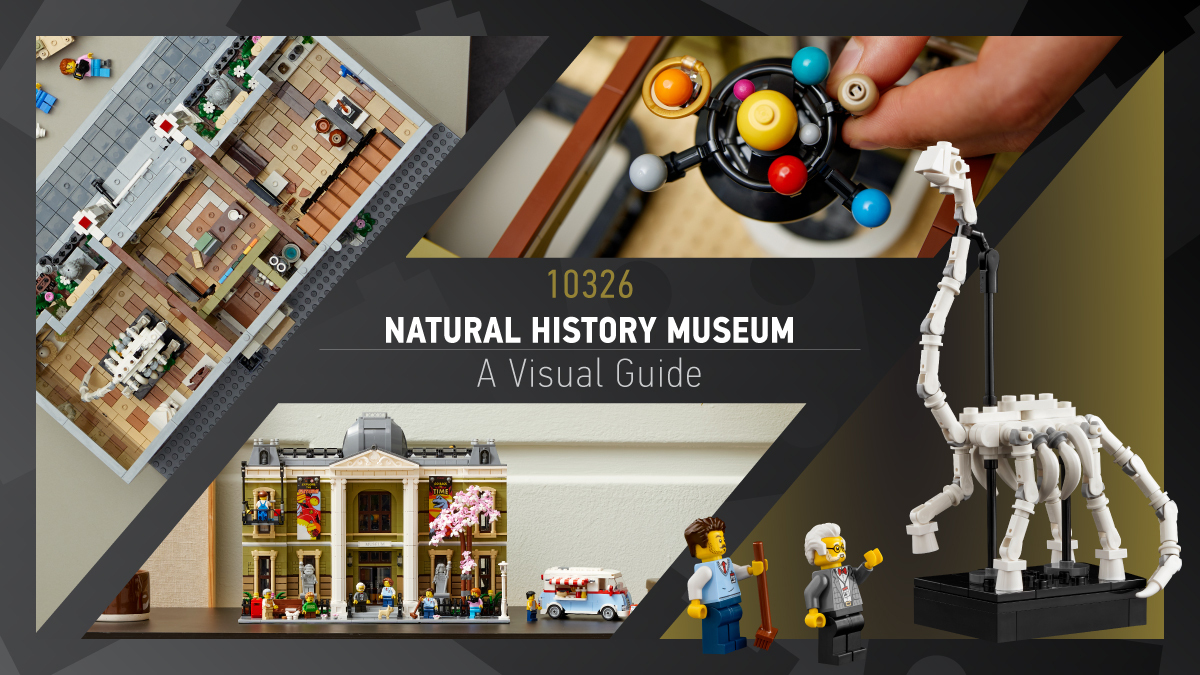 LEGO Icons 10326 Natural History Museum visual tour and gallery