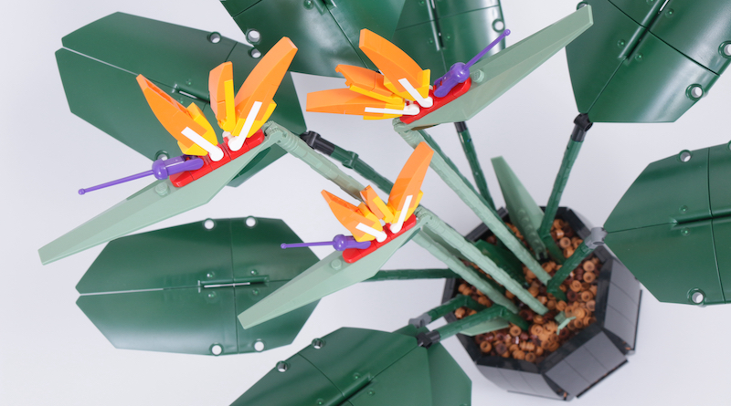 LEGO Botanical Collection 10289 Bird Of Paradise available to buy now