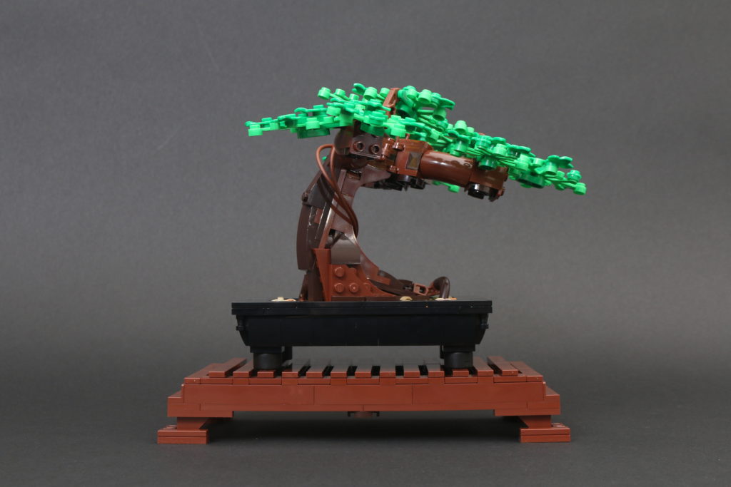 LEGO Botanical Collection 10281 Bonsai Tree review 31
