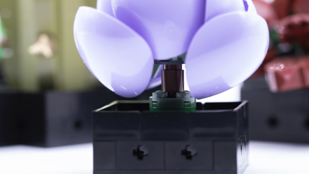LEGO The Botanical Collection 10309 Succulents 39 1024x576