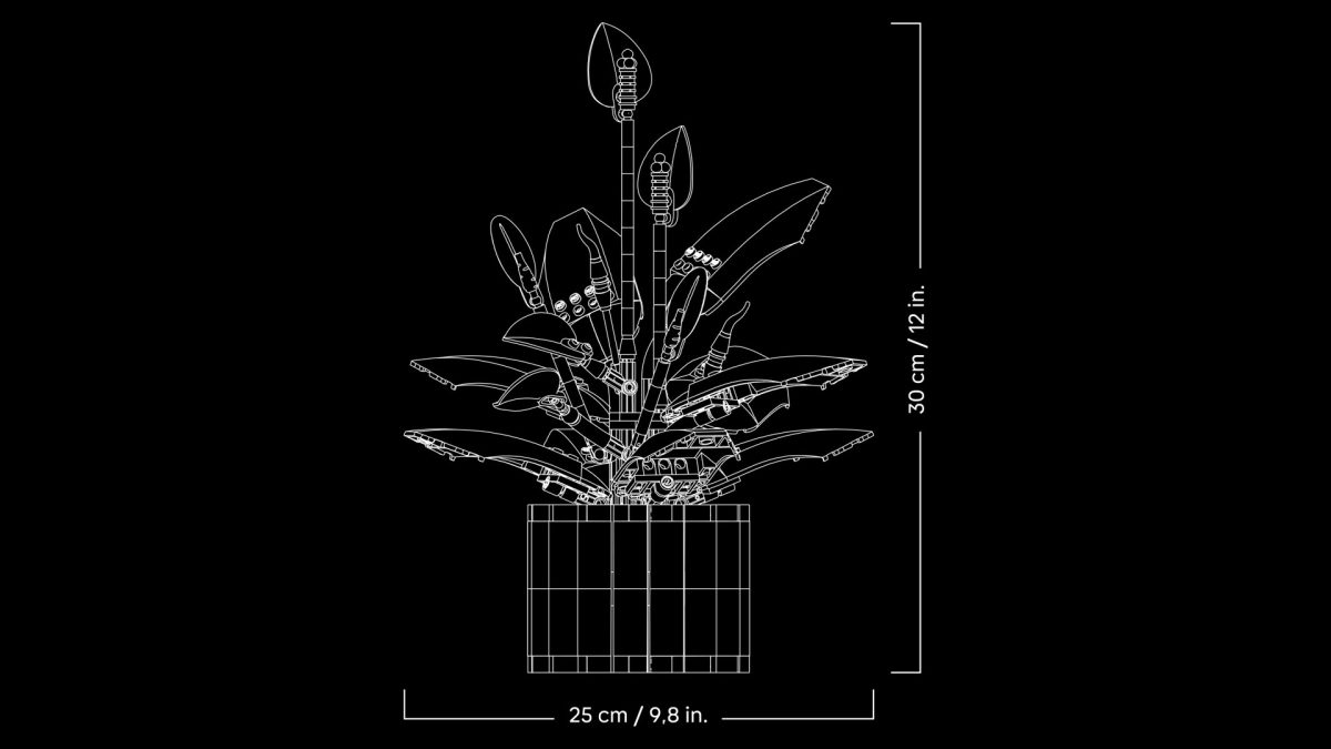 LEGO Botanicals 11504 Peace Lily 23 1200x675