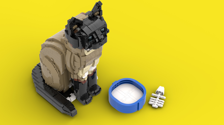 Cat Ideas 5