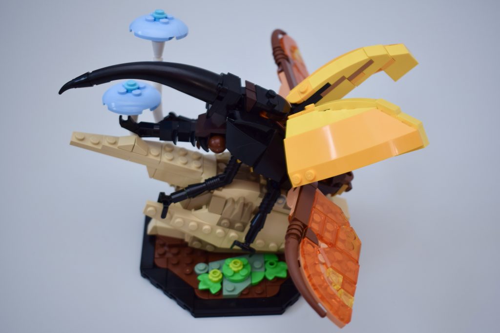 LEGO Ideas 21342 The Insects Collection Review 38 1024x683