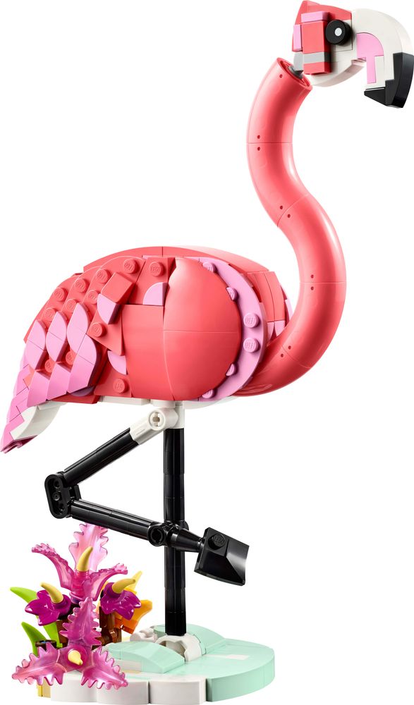 31170 LEGO Wilde Tiere Rosa Flamingo 1