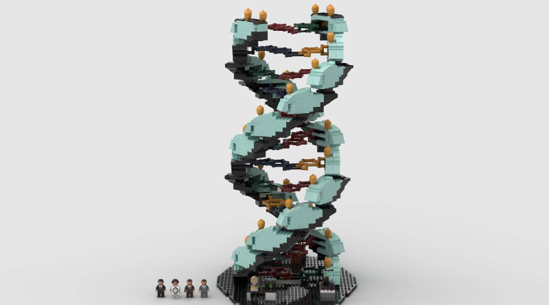Student-made DNA structure passes into LEGO Ideas review