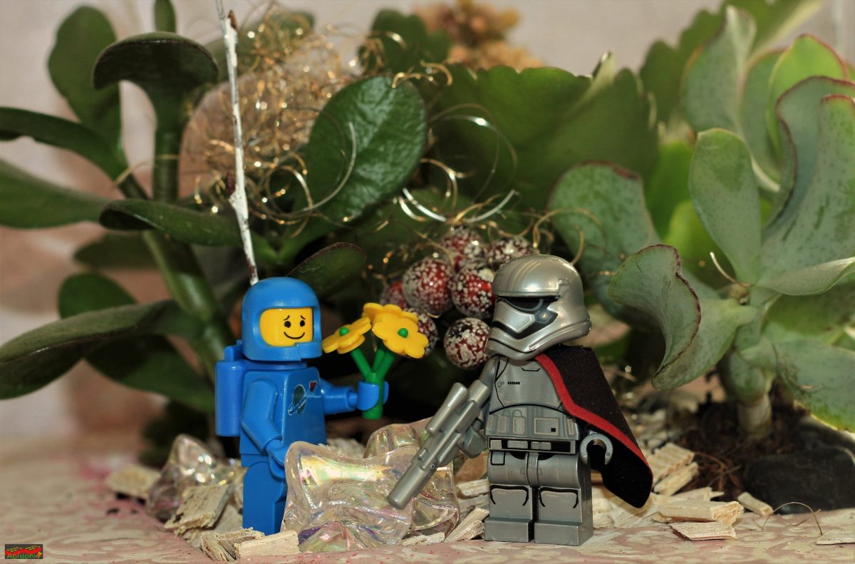Brick Pic of the Day: Benny in love